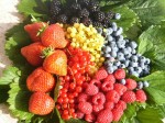 picoclifrutti