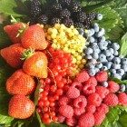 EPATITE A: “Cuocere i frutti di bosco surgelati” il consiglio del Ministero della Salute