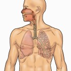 Dal 13 novembre riprende servizio di pneumologia